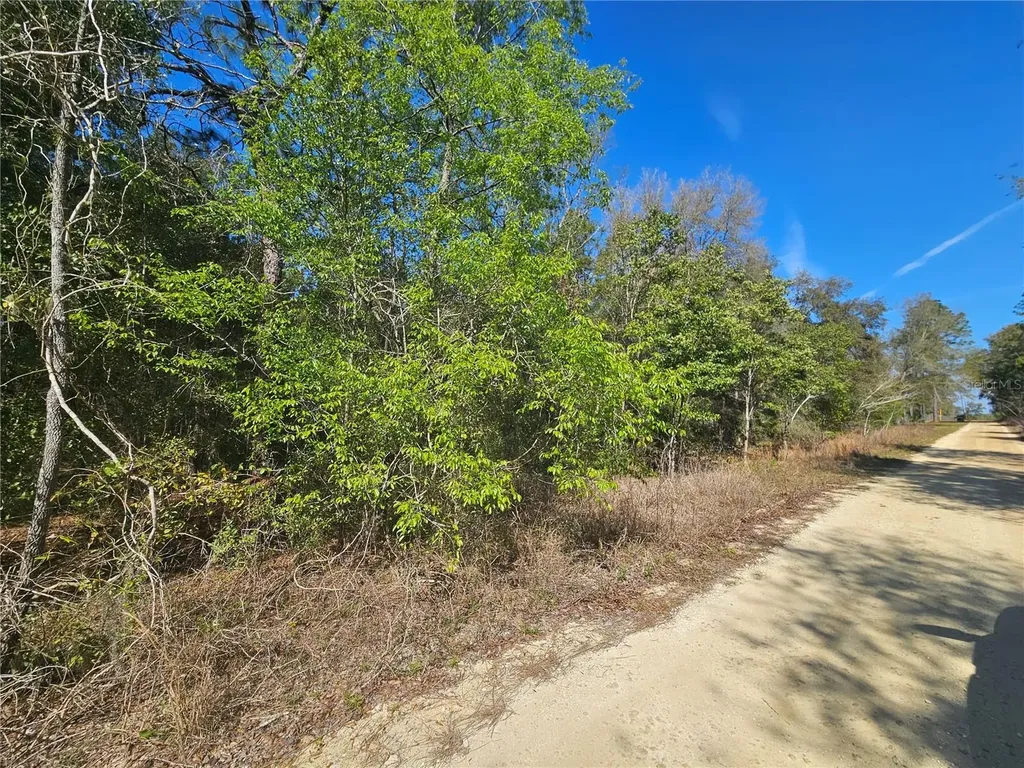 1790 NE 156th Terrace Williston FL 32696