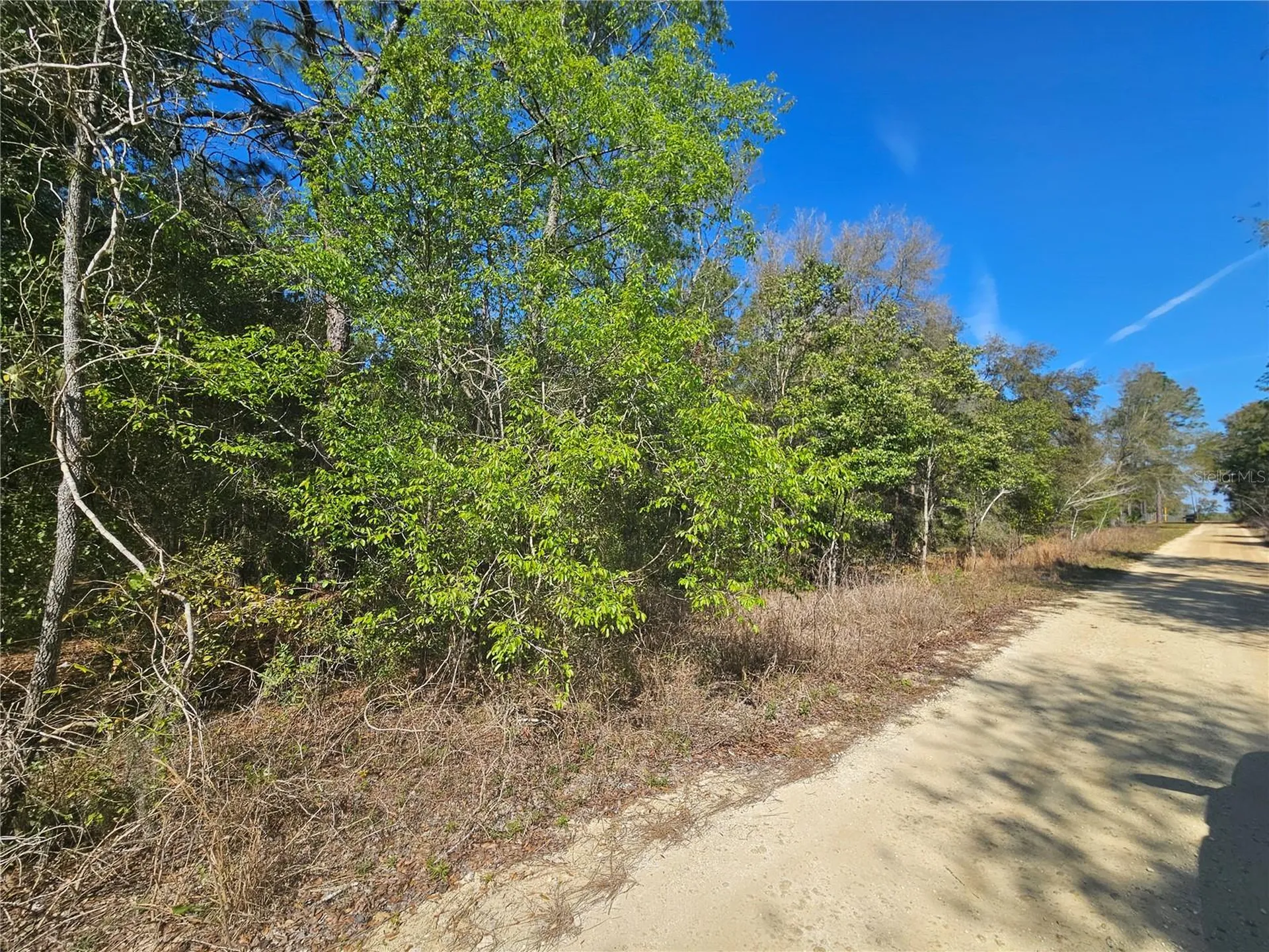 1790 NE 156th Terrace Williston FL 32696