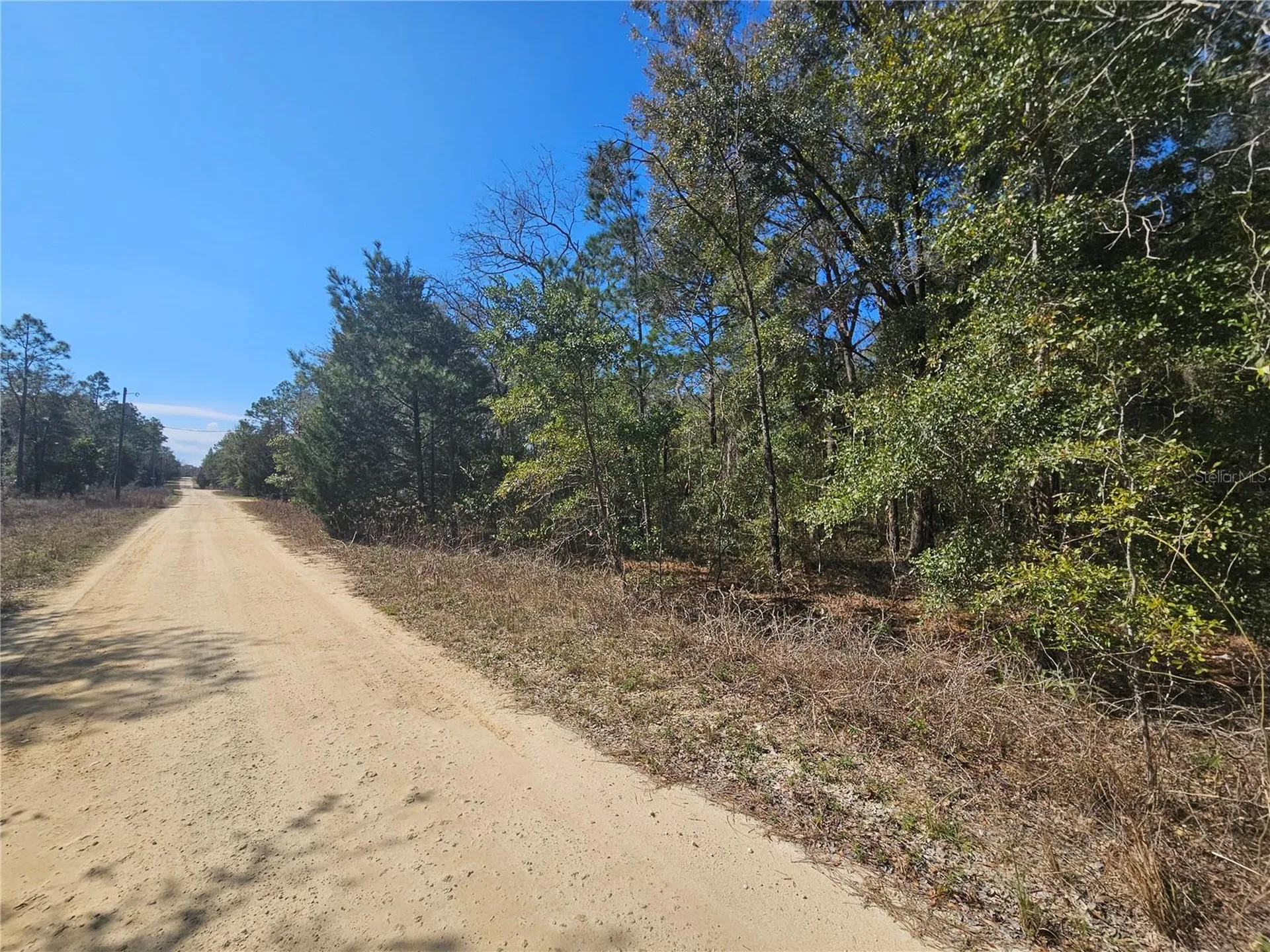 1790 NE 156th Terrace Williston FL 32696