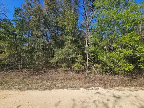 1790 NE 156th Terrace Williston FL 32696