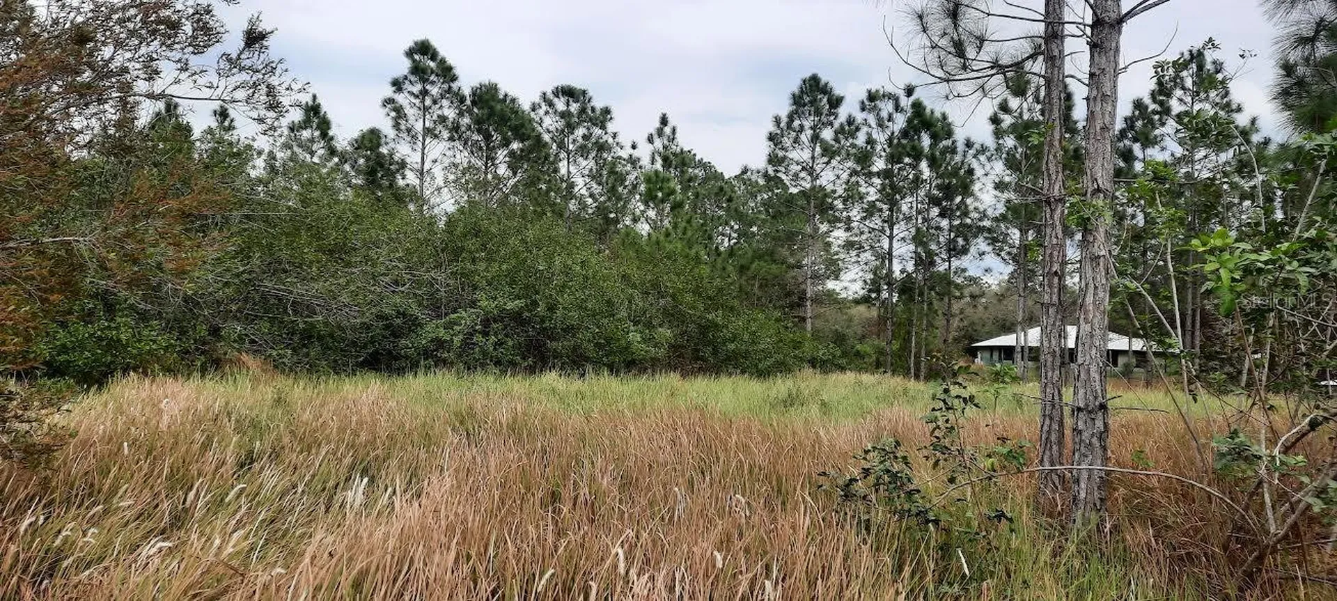 26 Lantana Drive S Indian Lake Estates FL 33855