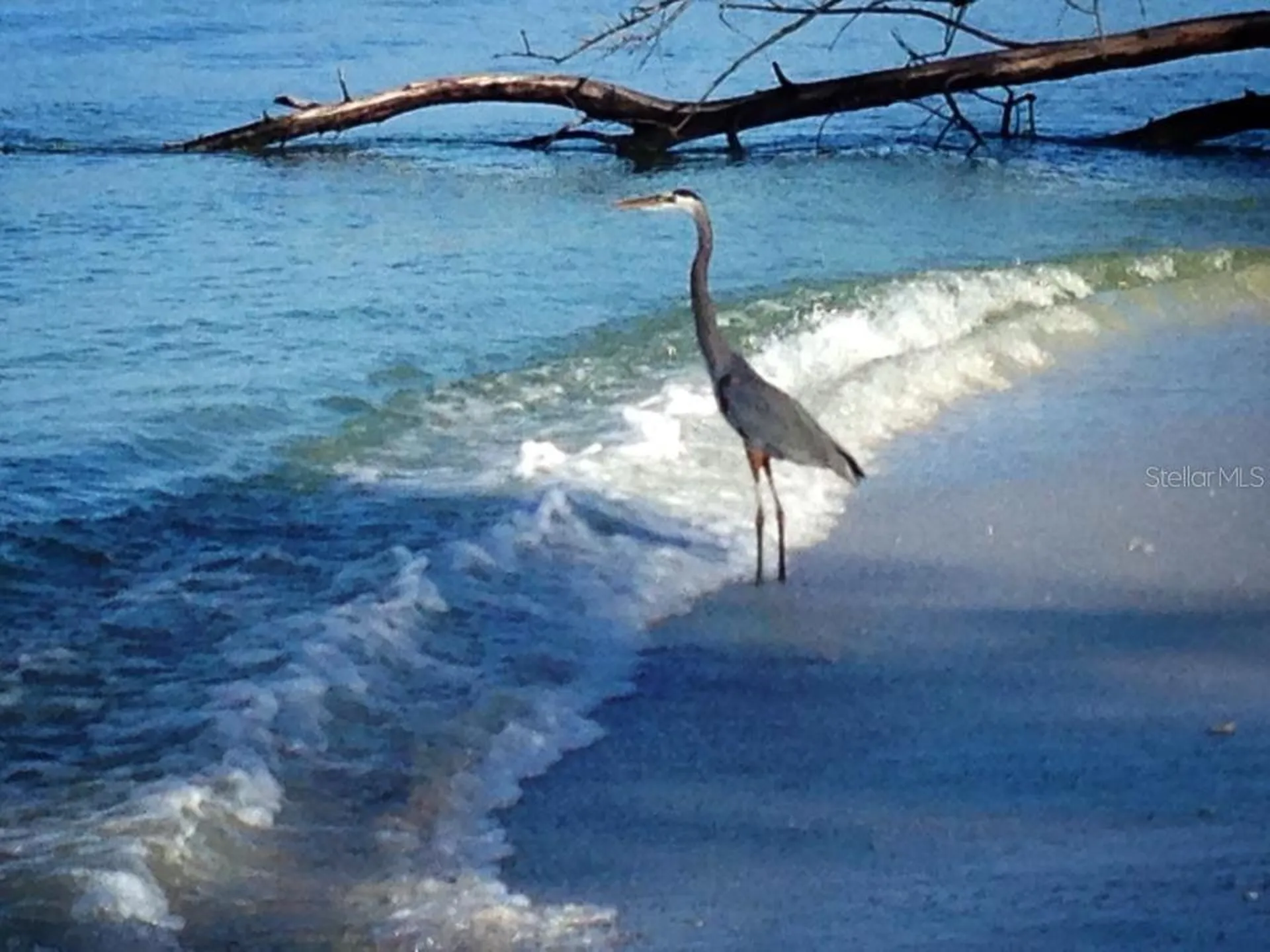 120 S Gulf Boulevard Placida FL 33946