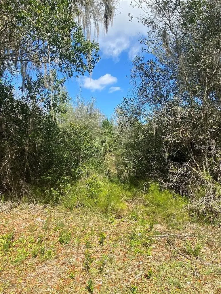 W Beresford Road Deland FL 32720
