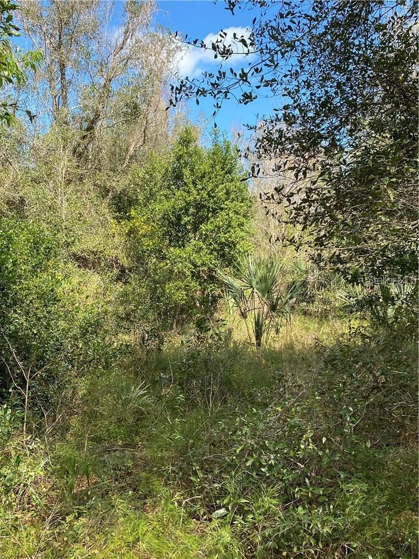W Beresford Road Deland FL 32720