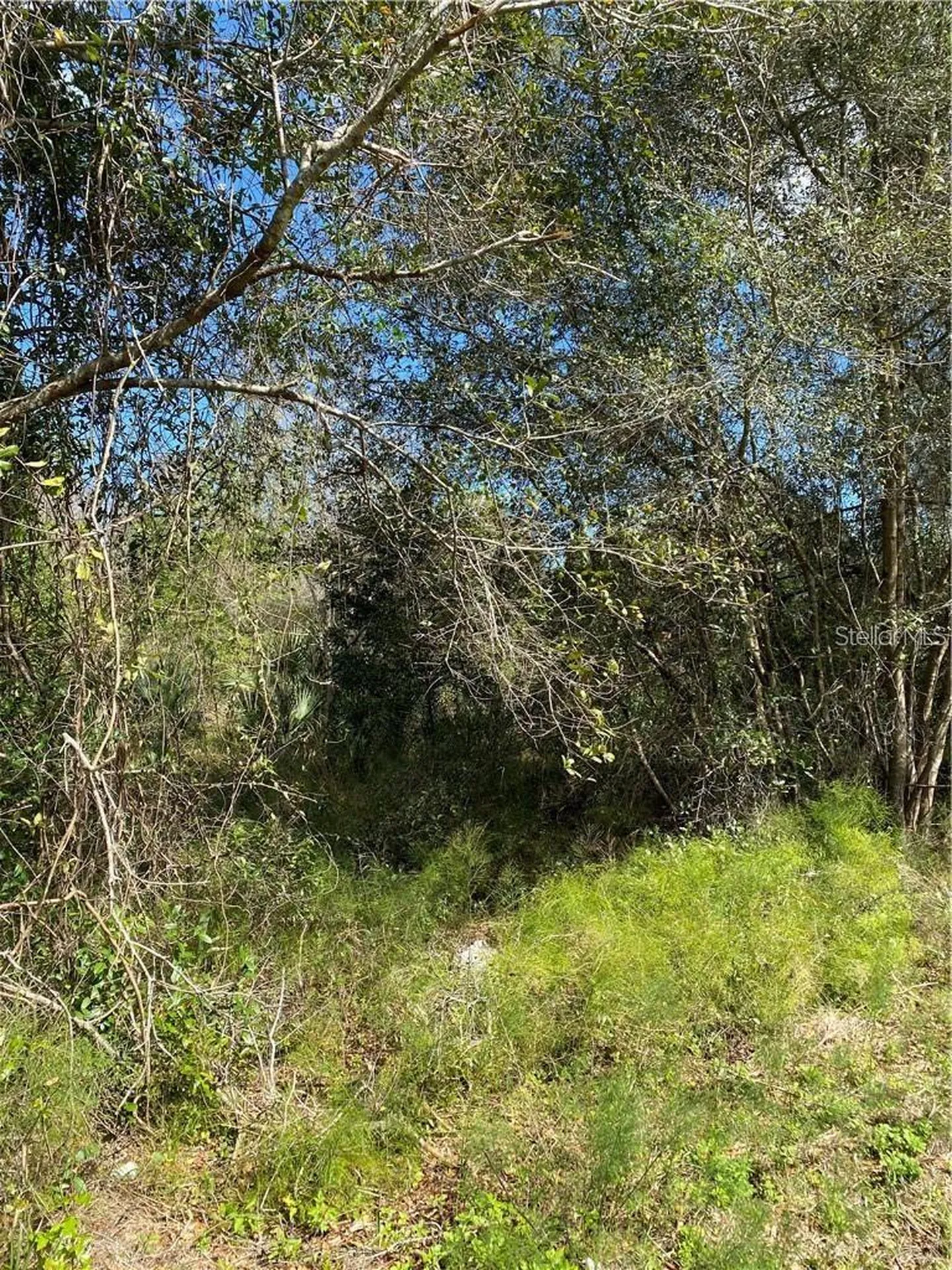 W Beresford Road Deland FL 32720