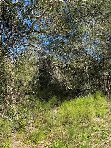 W Beresford Road Deland FL 32720