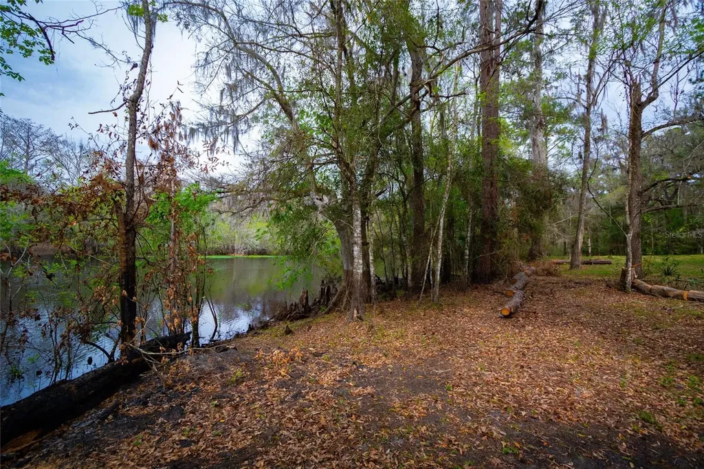 7822 Cr 647 Bushnell FL 33513