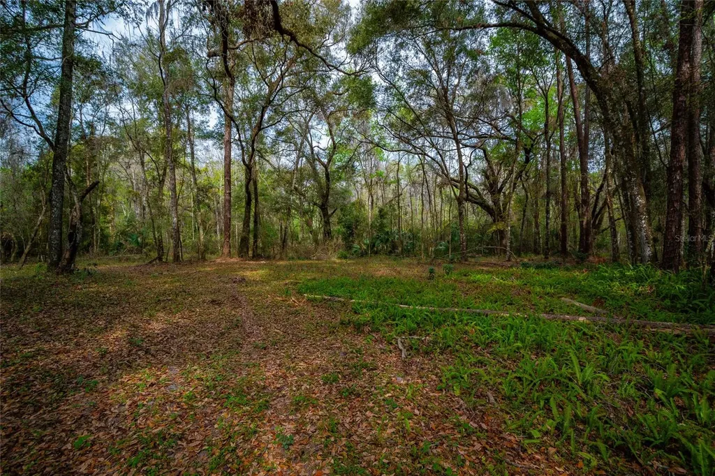7822 Cr 647 Bushnell FL 33513
