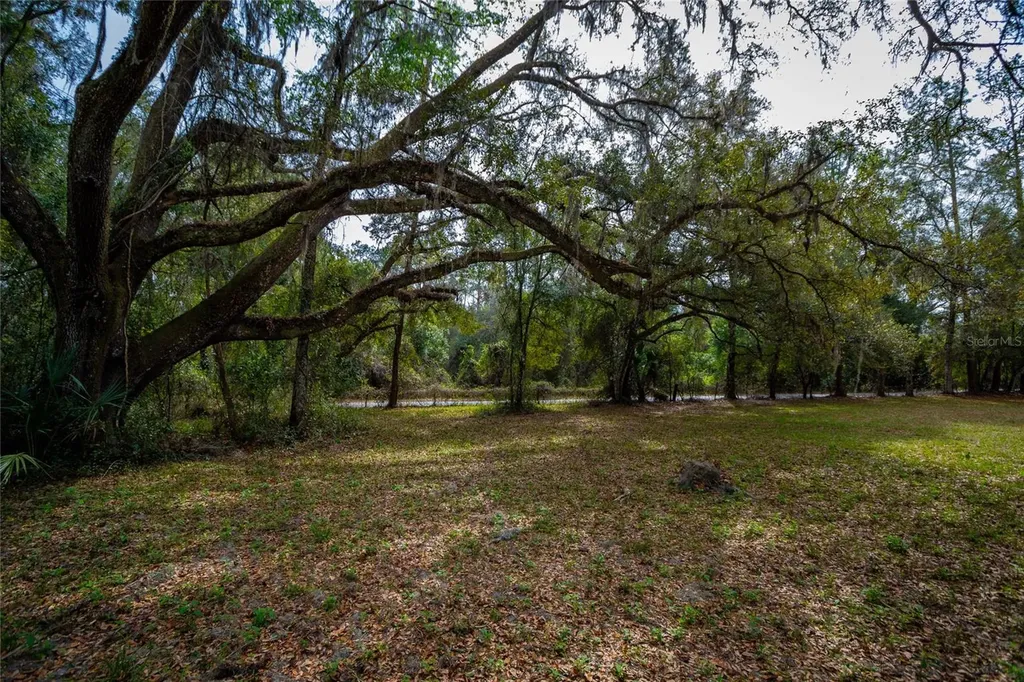 7822 Cr 647 Bushnell FL 33513