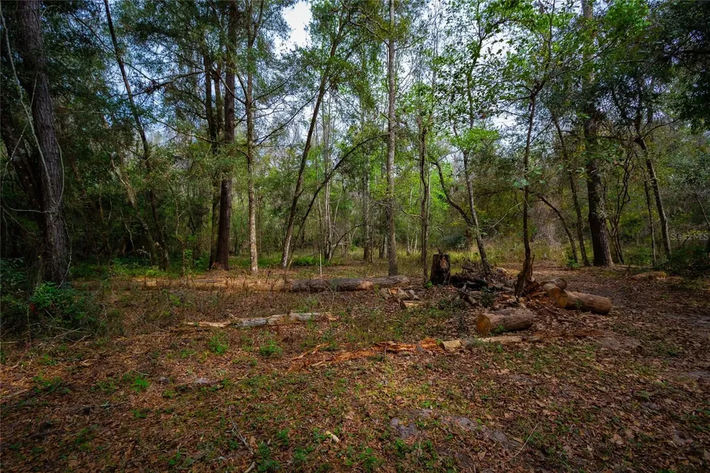 7822 Cr 647 Bushnell FL 33513