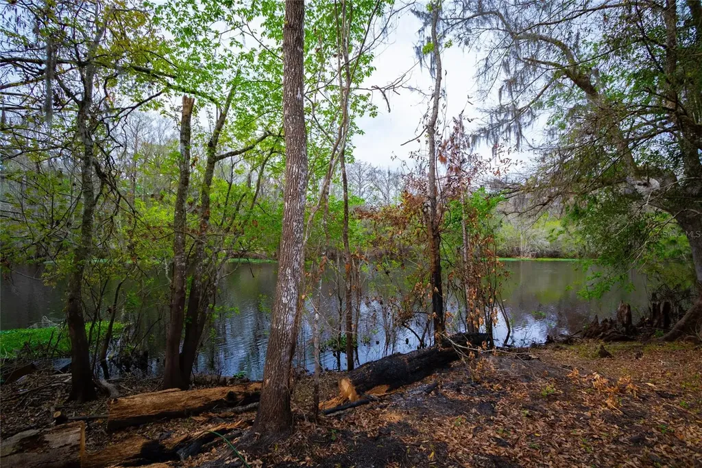7822 Cr 647 Bushnell FL 33513