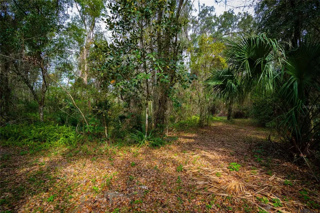 7822 Cr 647 Bushnell FL 33513