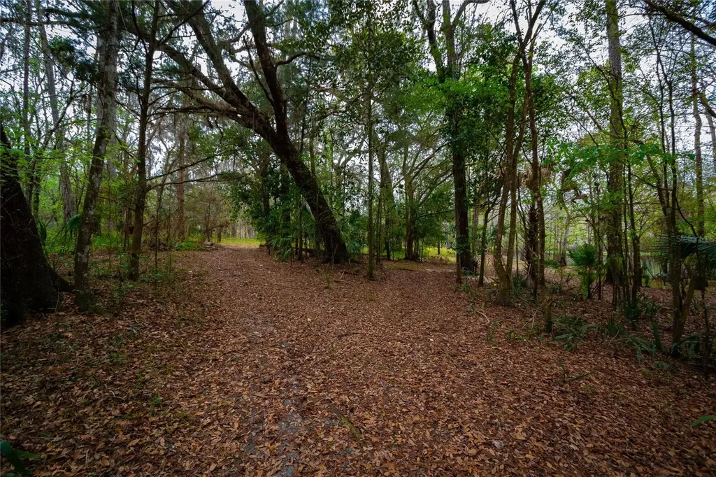 7822 Cr 647 Bushnell FL 33513