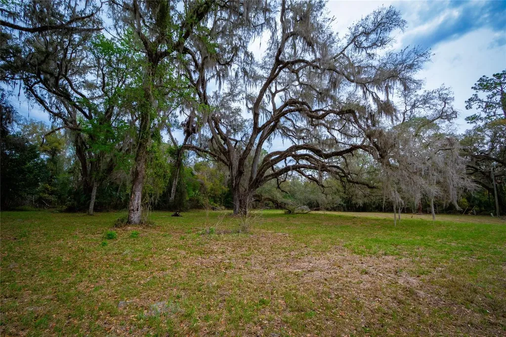 7822 Cr 647 Bushnell FL 33513