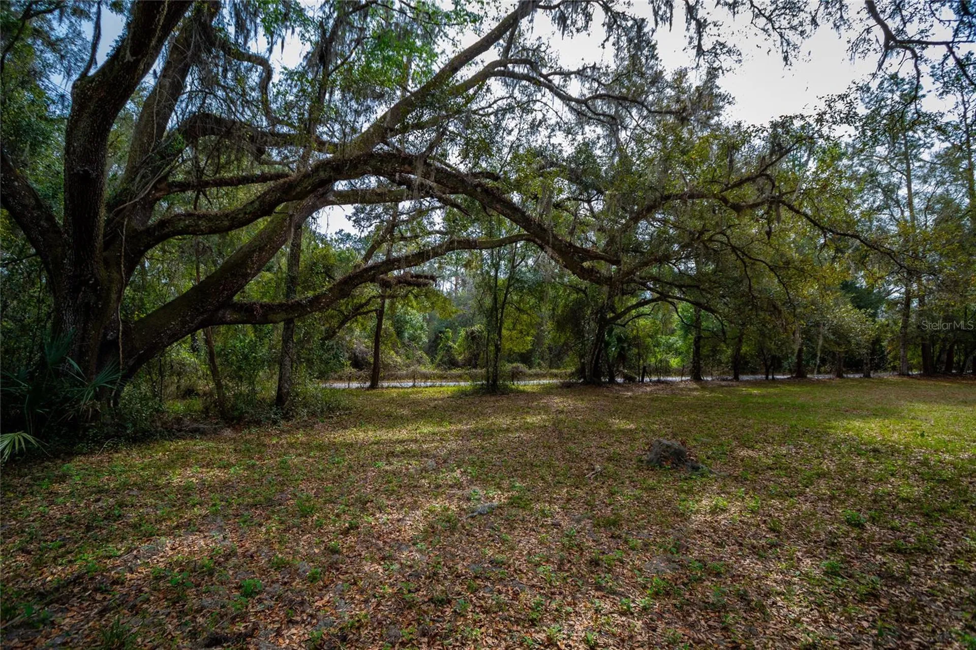 7822 Cr 647 Bushnell FL 33513