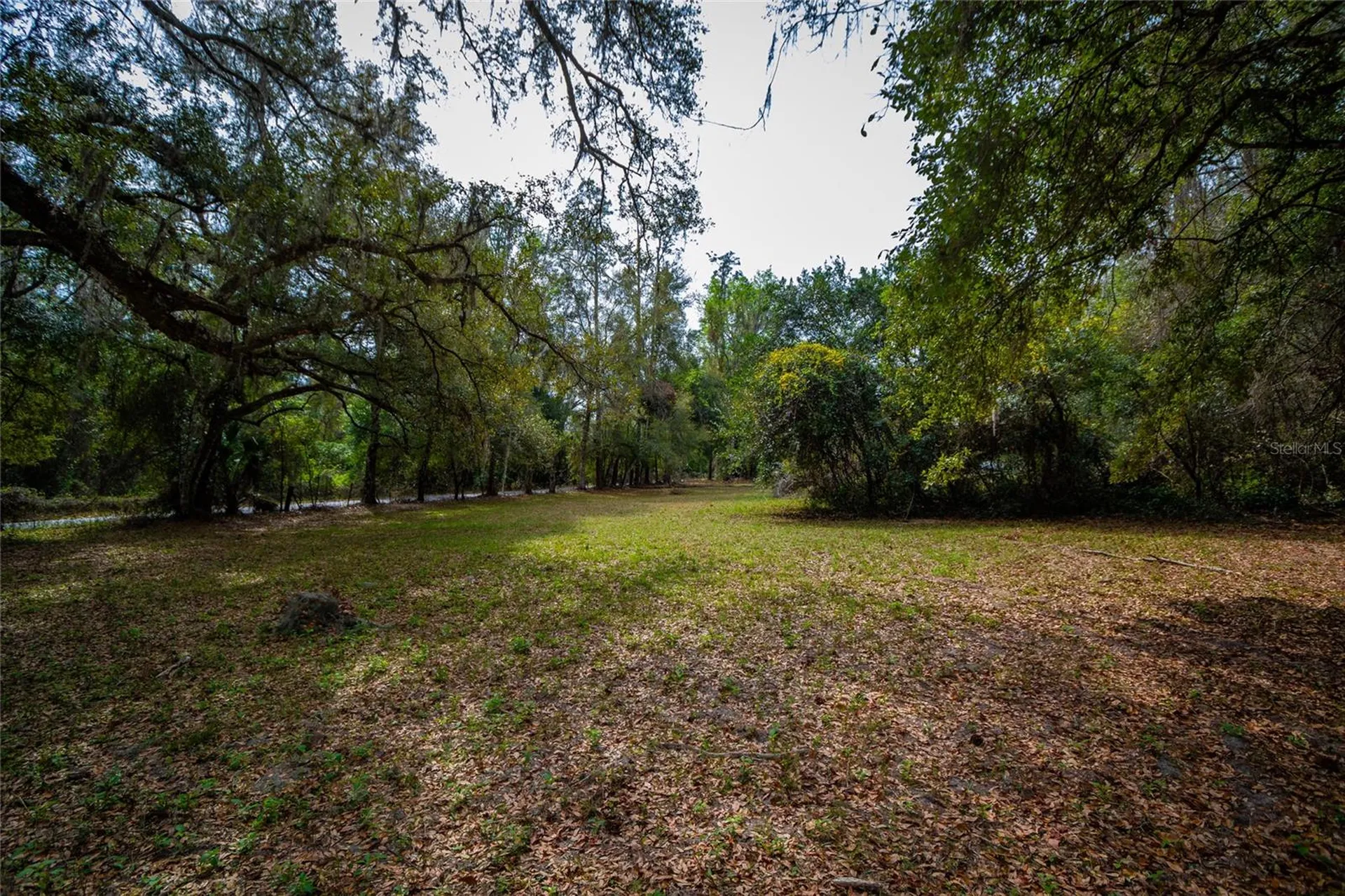 7822 Cr 647 Bushnell FL 33513