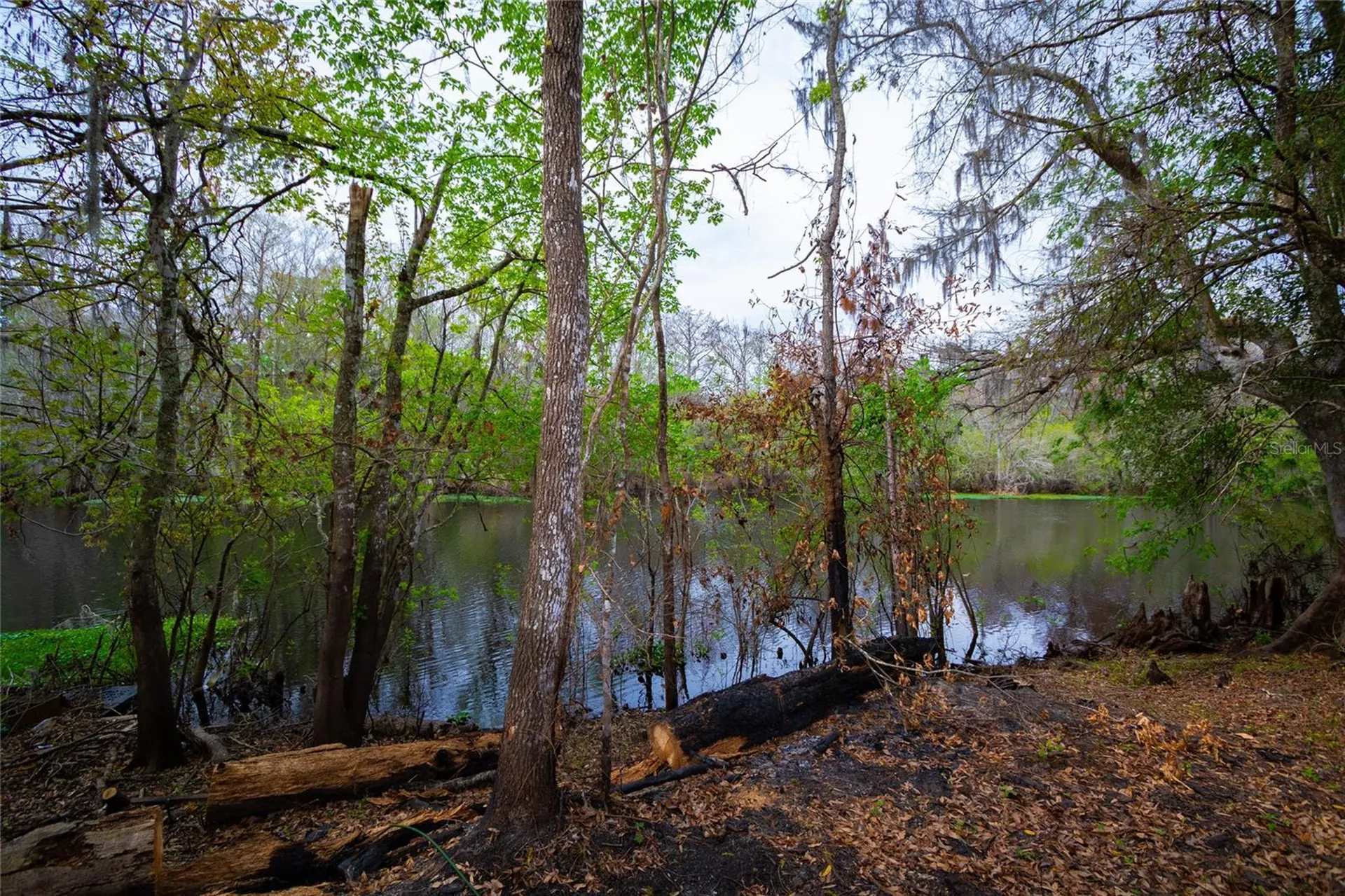 7822 Cr 647 Bushnell FL 33513