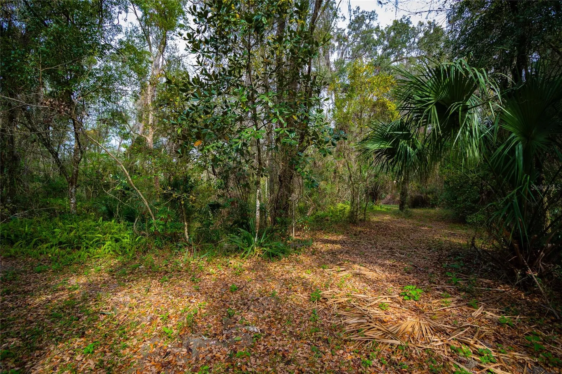 7822 Cr 647 Bushnell FL 33513
