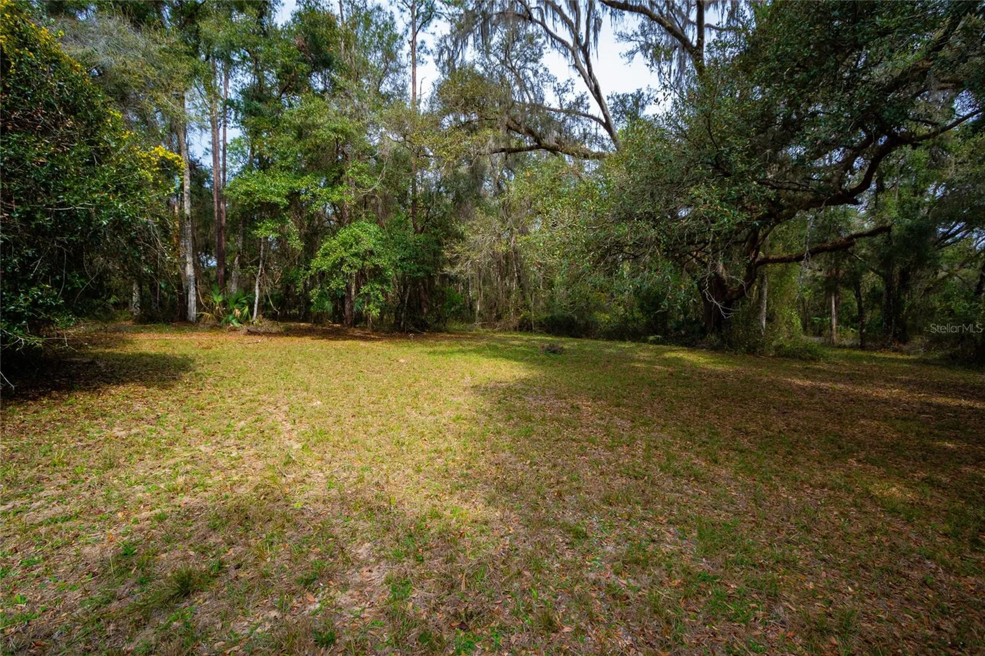 7822 Cr 647 Bushnell FL 33513