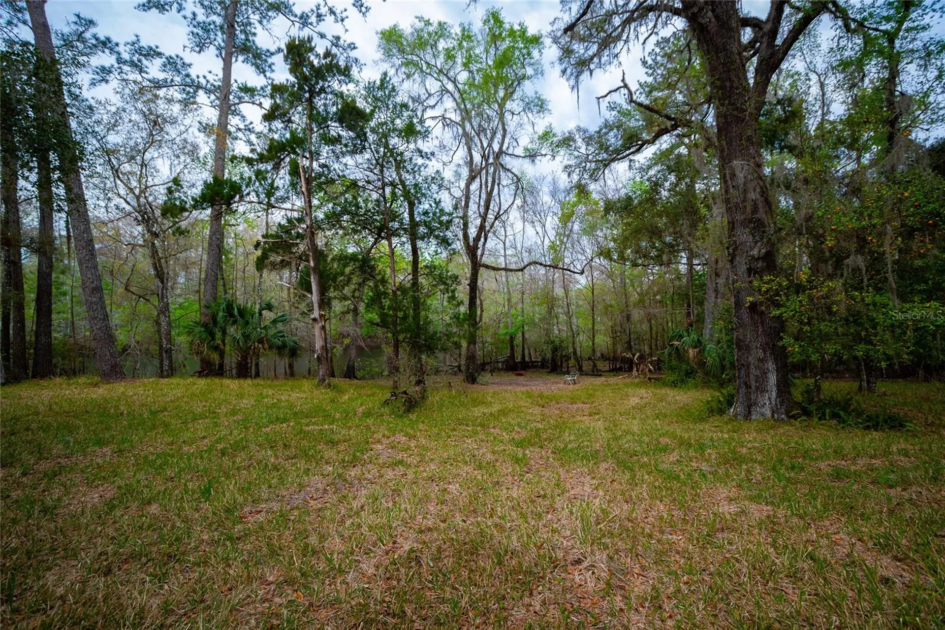7822 Cr 647 Bushnell FL 33513