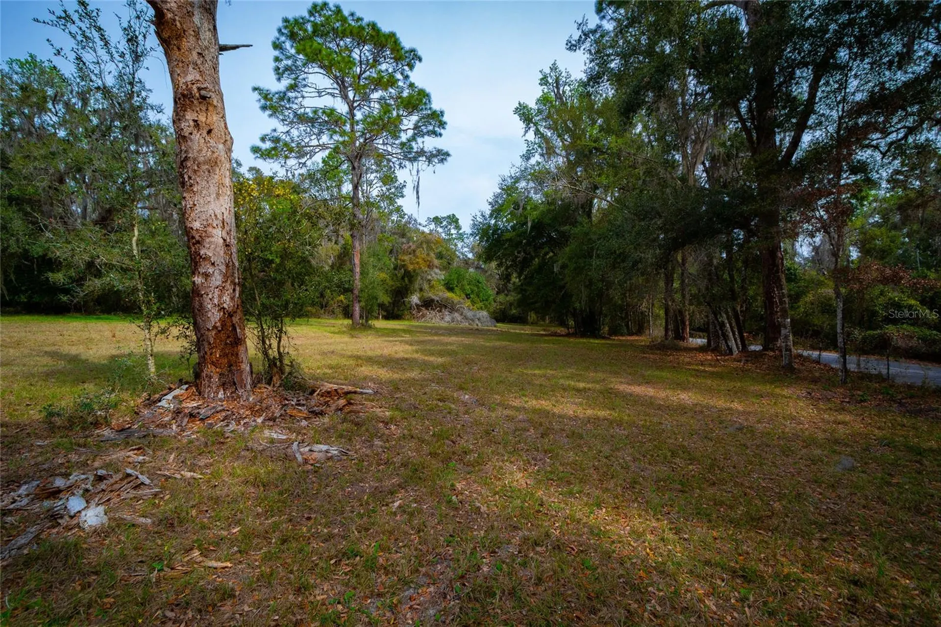 7822 Cr 647 Bushnell FL 33513