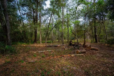 7822 Cr 647 Bushnell FL 33513