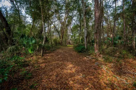 7822 Cr 647 Bushnell FL 33513