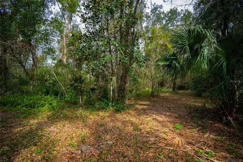 7822 Cr 647 Bushnell FL 33513