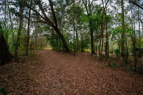 7822 Cr 647 Bushnell FL 33513