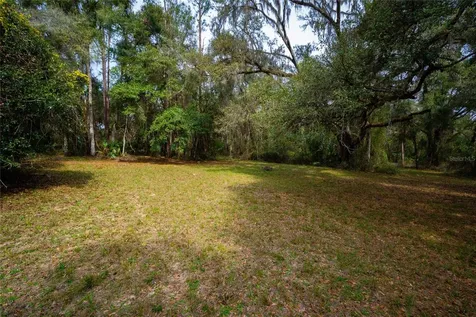 7822 Cr 647 Bushnell FL 33513
