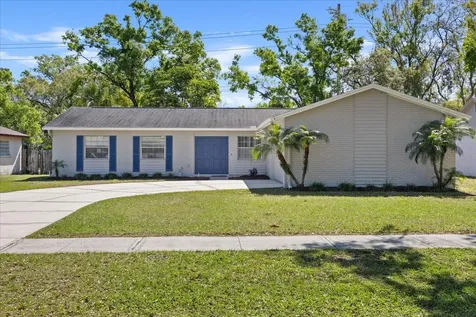 14019 Briardale Lane Tampa FL 33618