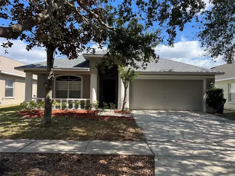 11146 Rodeo Lane Riverview FL 33579