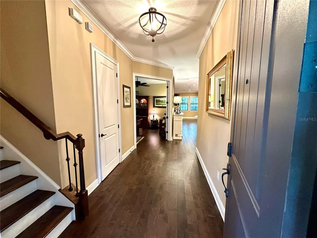 4302 W San Pedro Street Tampa FL 33629