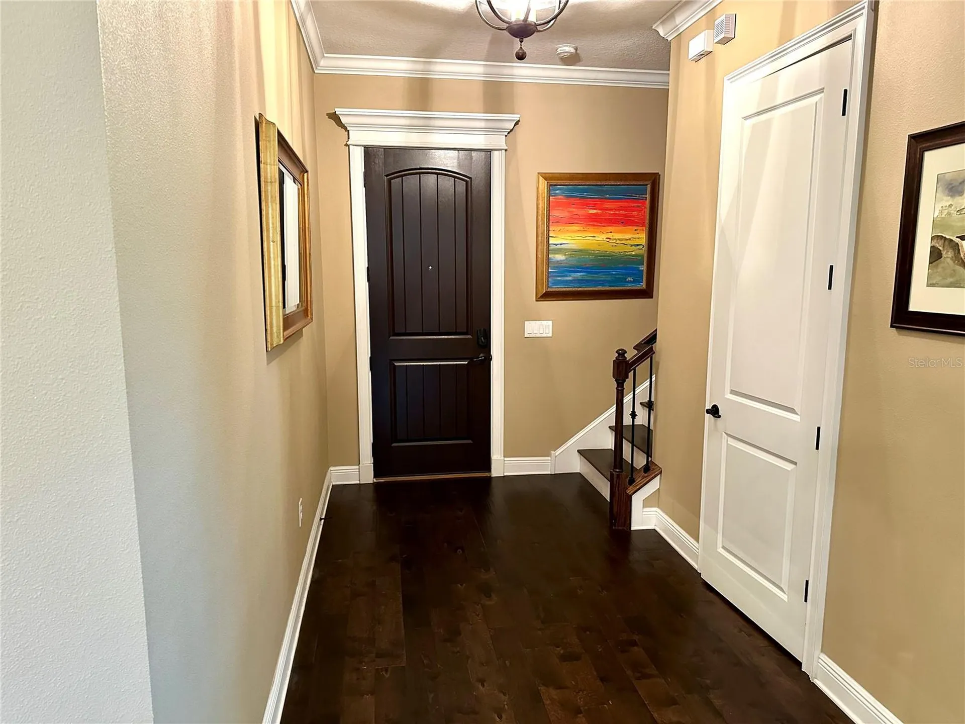 4302 W San Pedro Street Tampa FL 33629