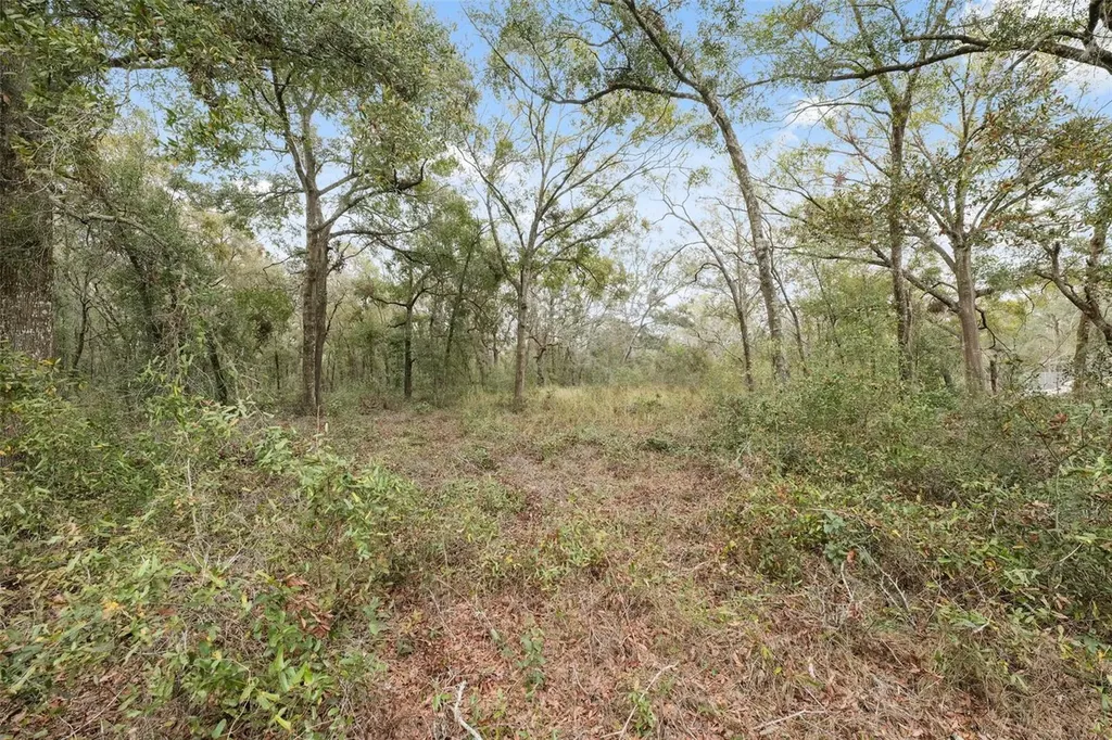 16308 Shady Hills Road Spring Hill FL 34610