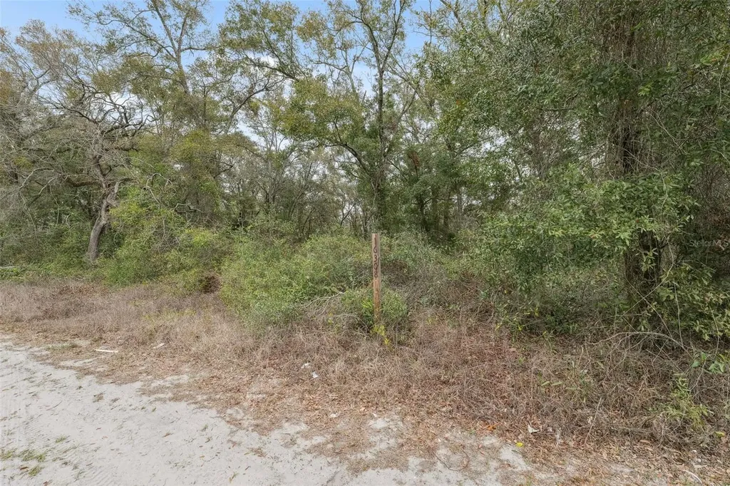 16308 Shady Hills Road Spring Hill FL 34610