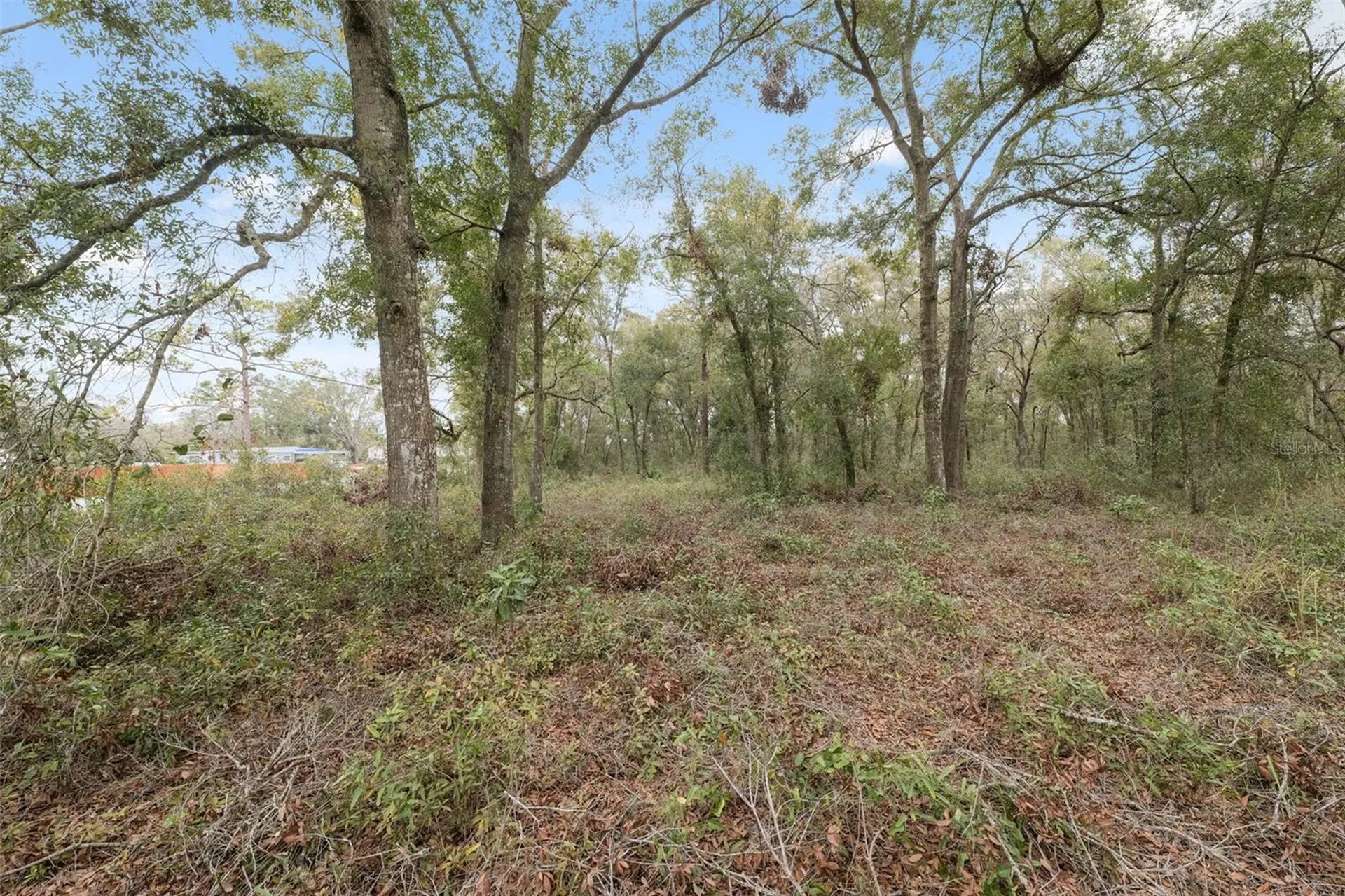 16308 Shady Hills Road Spring Hill FL 34610