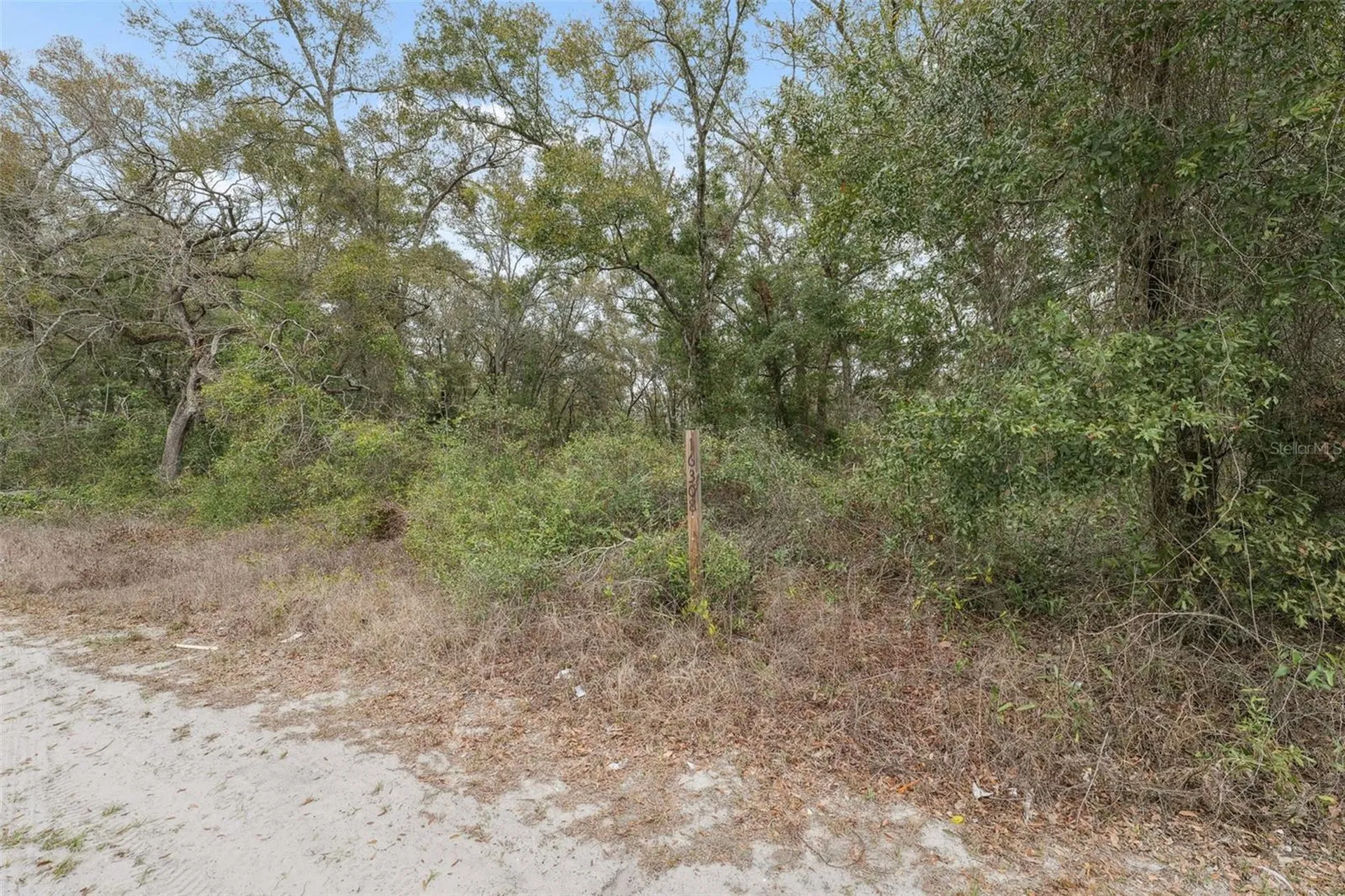 16308 Shady Hills Road Spring Hill FL 34610
