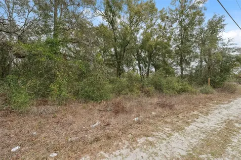 16308 Shady Hills Road Spring Hill FL 34610