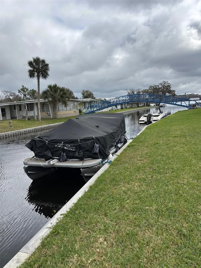 29 Club House Eustis FL 32726