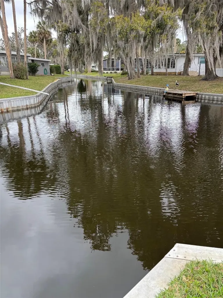 29 Club House Eustis FL 32726