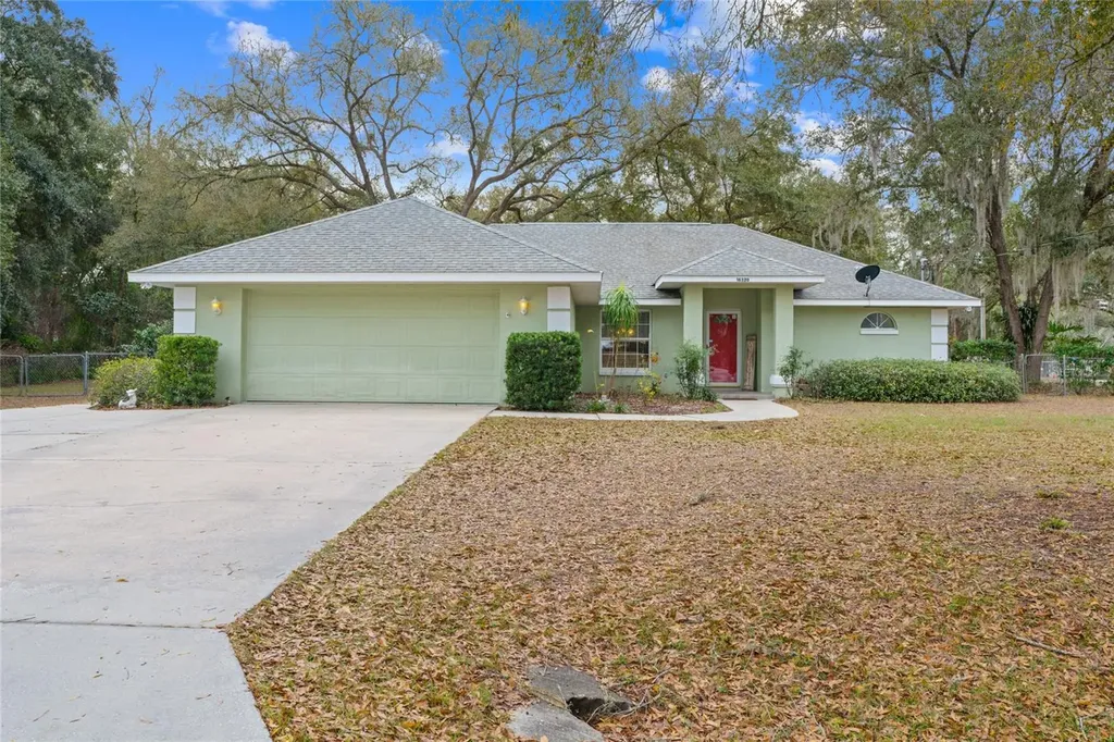 16320 SE 16th Place Ocklawaha FL 32179