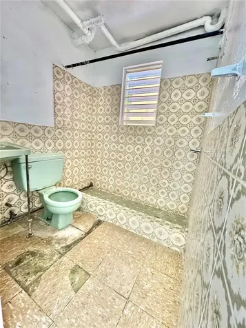 10, Las Flores Street Pueblo Ward Orocovis PR 00720