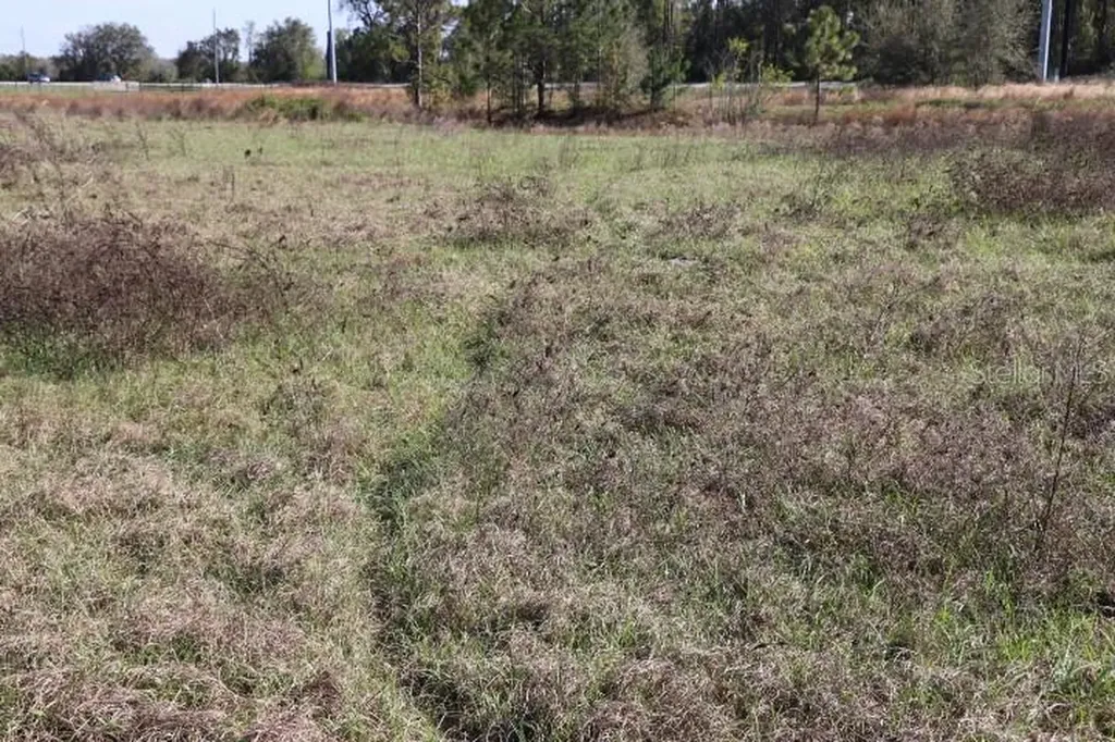 Cr 48 Bushnell FL 33513