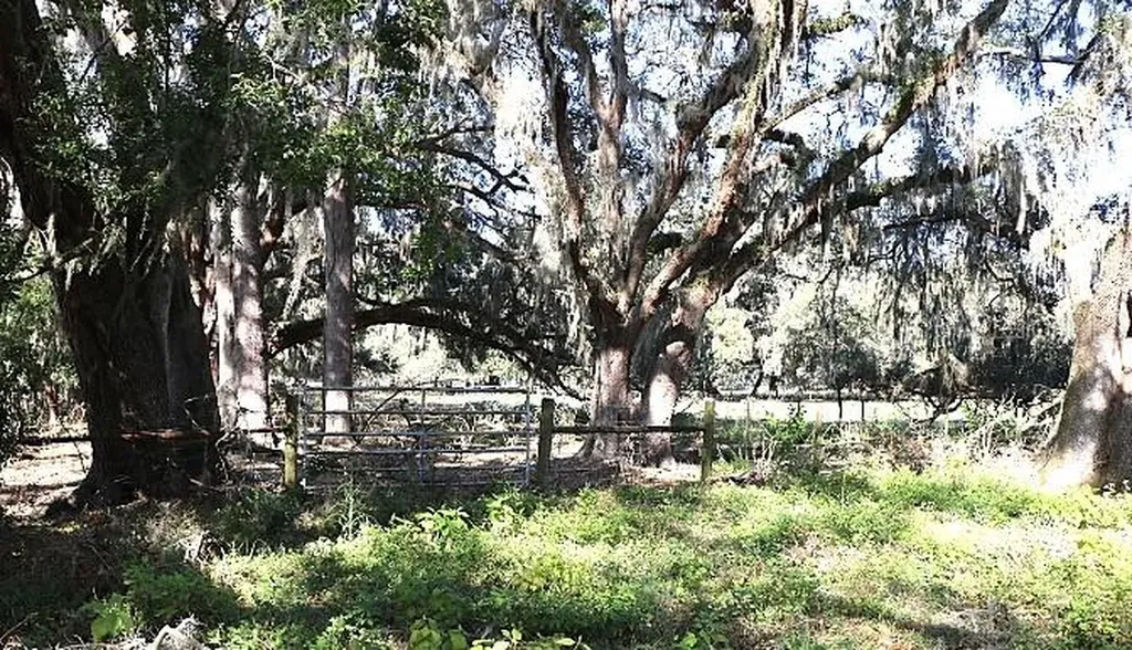 Cr 48 Bushnell FL 33513