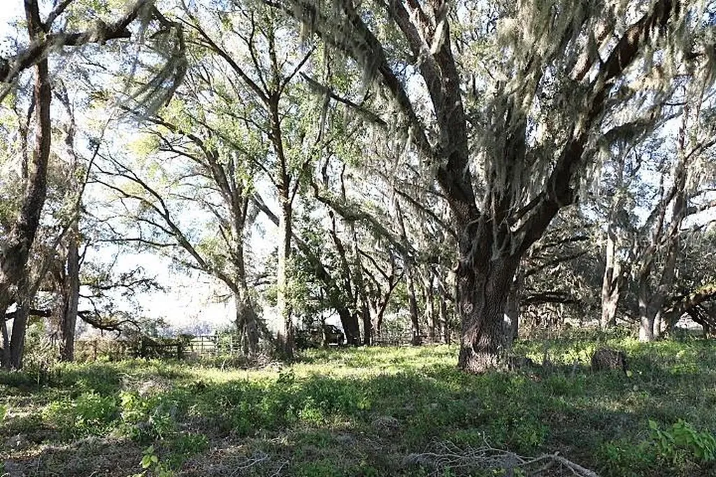 Cr 48 Bushnell FL 33513