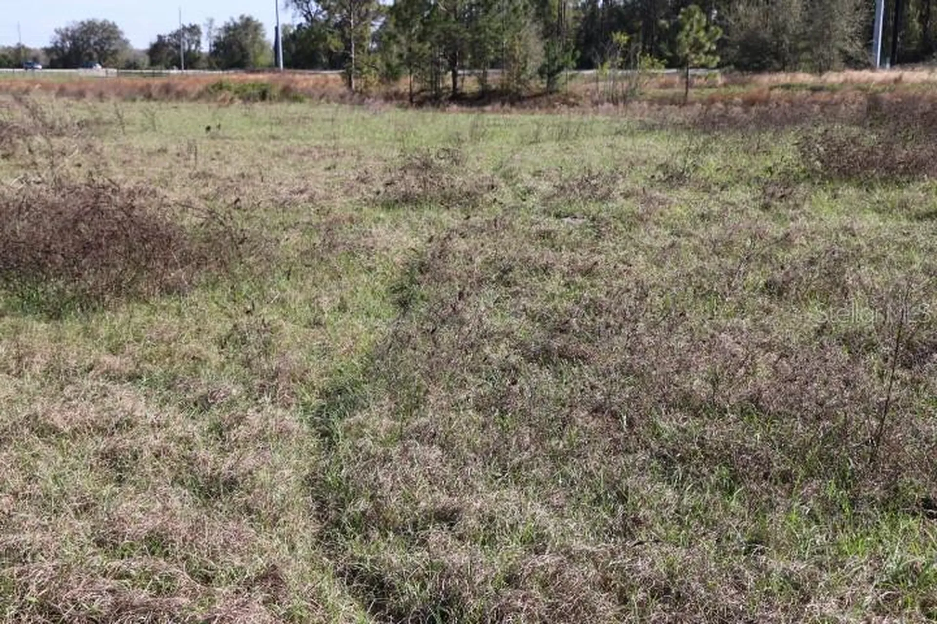 Cr 48 Bushnell FL 33513