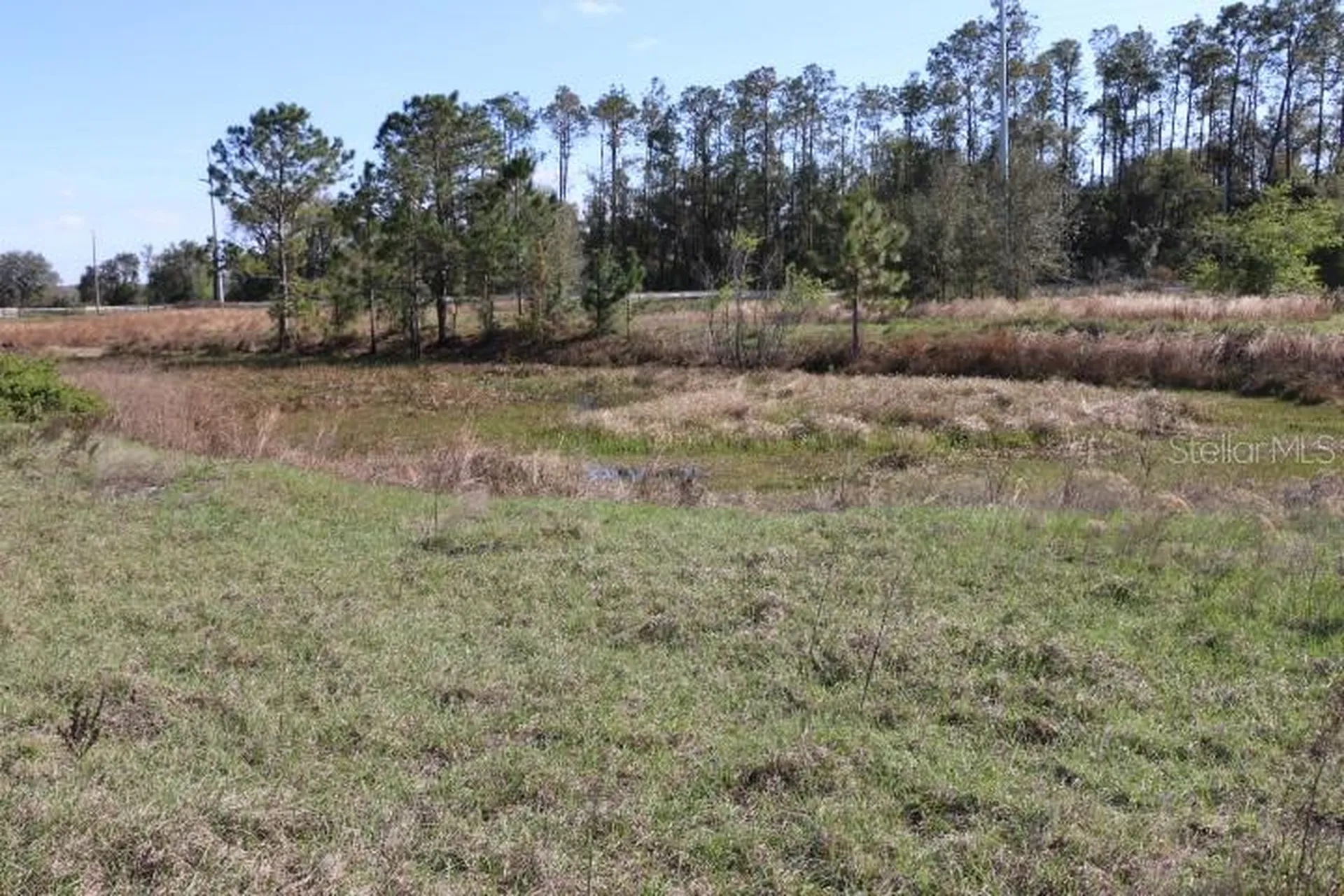 Cr 48 Bushnell FL 33513