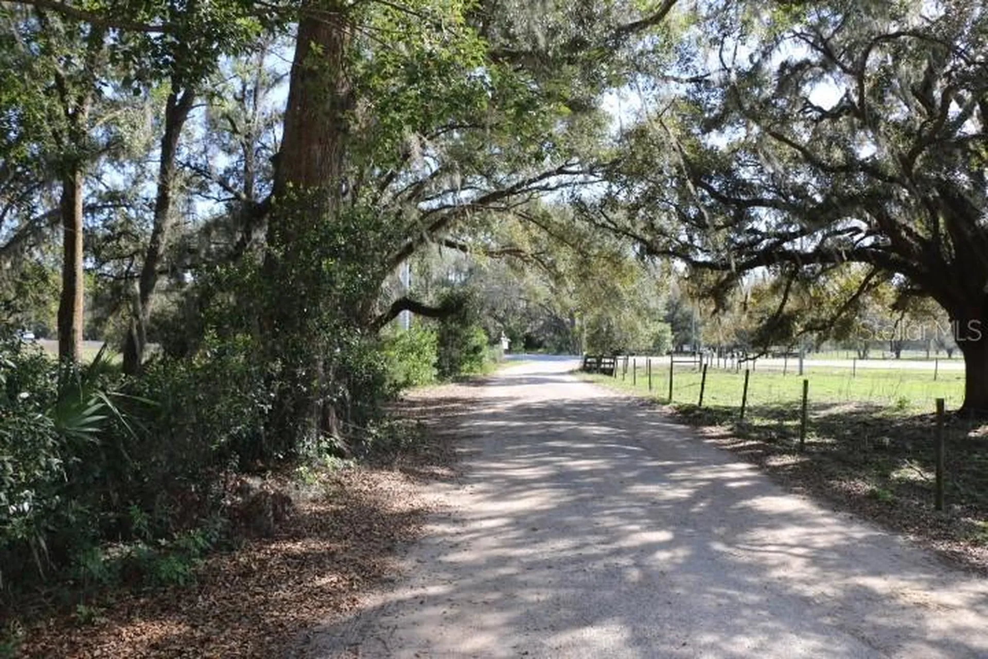 Cr 48 Bushnell FL 33513