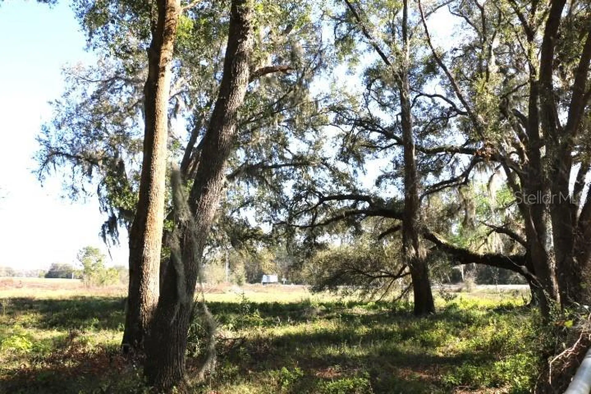 Cr 48 Bushnell FL 33513
